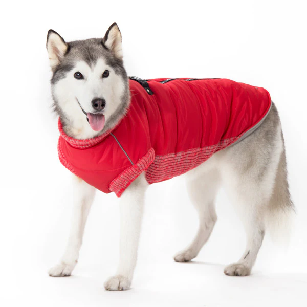 DOGO | Runner Coat in Red (BIG DOG SALE) - Image 3