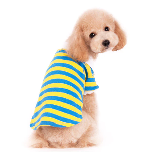 DOGO | Stripe Polo in Yellow and Blue - Image 3
