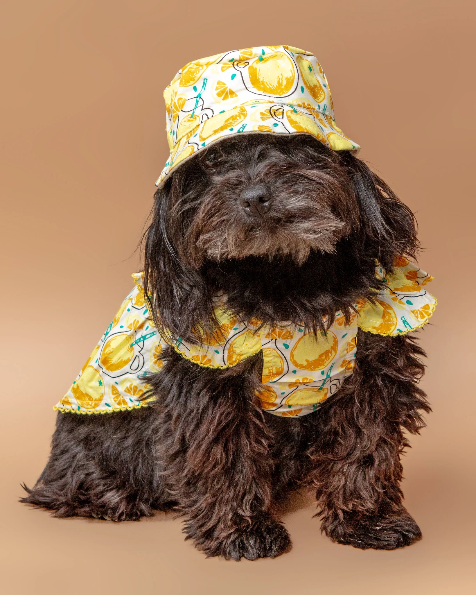 Sweet Lemonade Dress for Dogs << FINAL SALE >> - Image 2