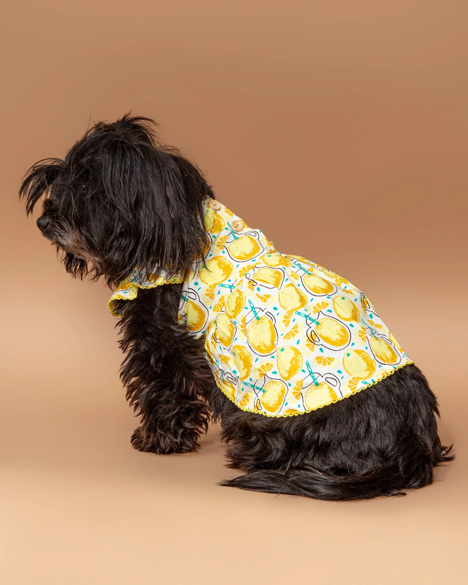Sweet Lemonade Dress for Dogs << FINAL SALE >> - Image 3