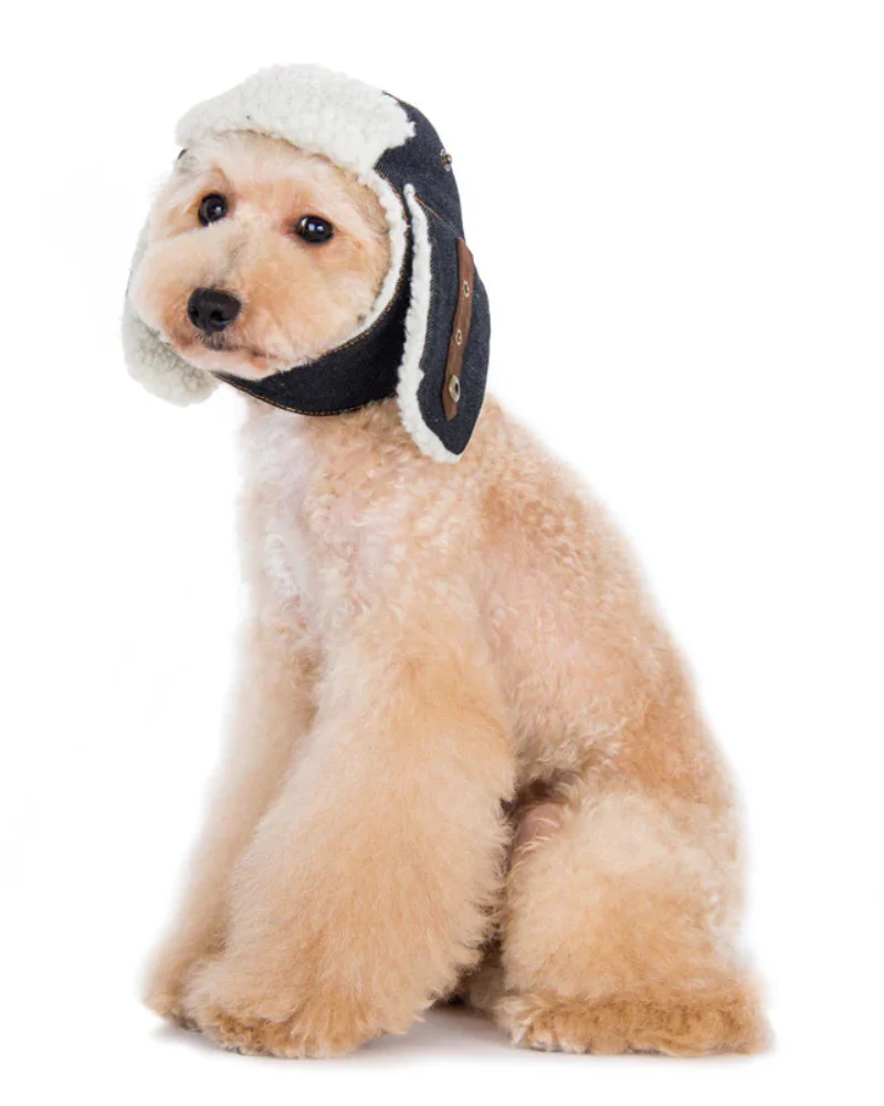 Denim & Sherpa Trapper Dog Hat (FINAL SALE)