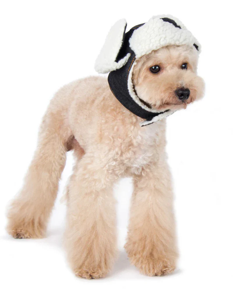Denim & Sherpa Trapper Dog Hat (FINAL SALE) - Image 2