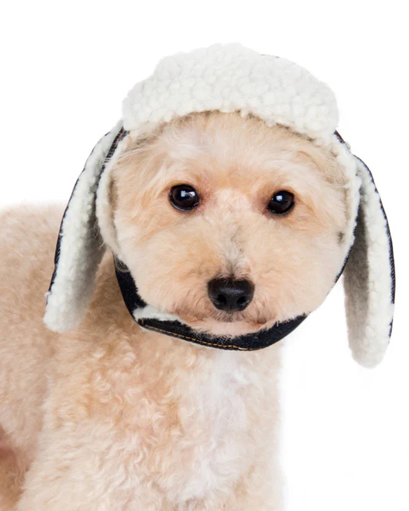 Denim & Sherpa Trapper Dog Hat (FINAL SALE) - Image 3