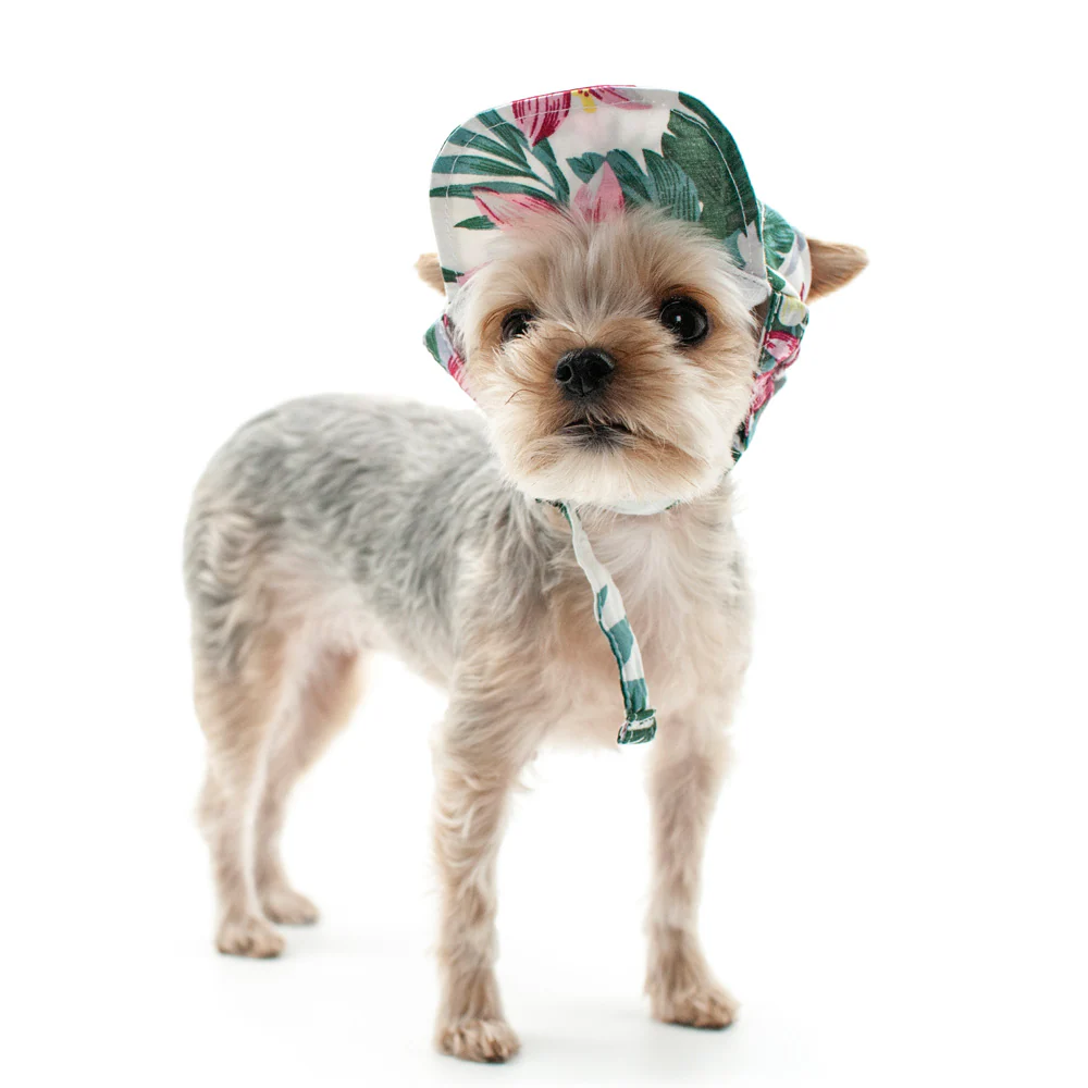 DOGO | Tropical Island Hat - Image 7