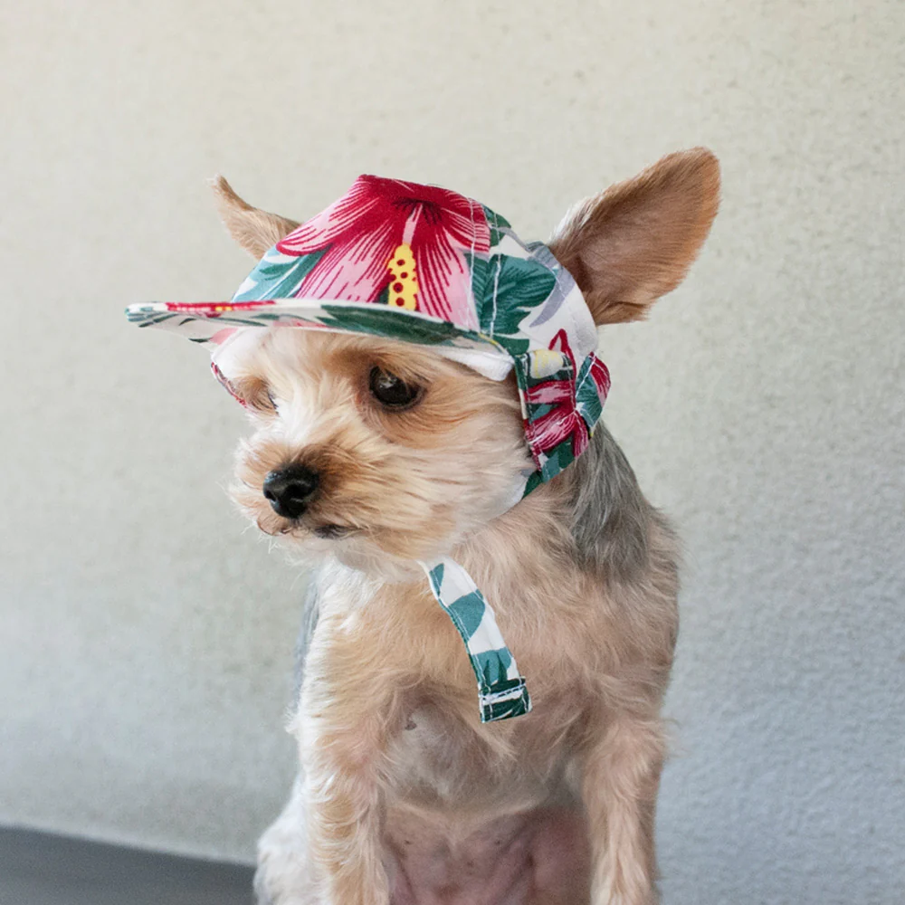 DOGO | Tropical Island Hat - Image 9