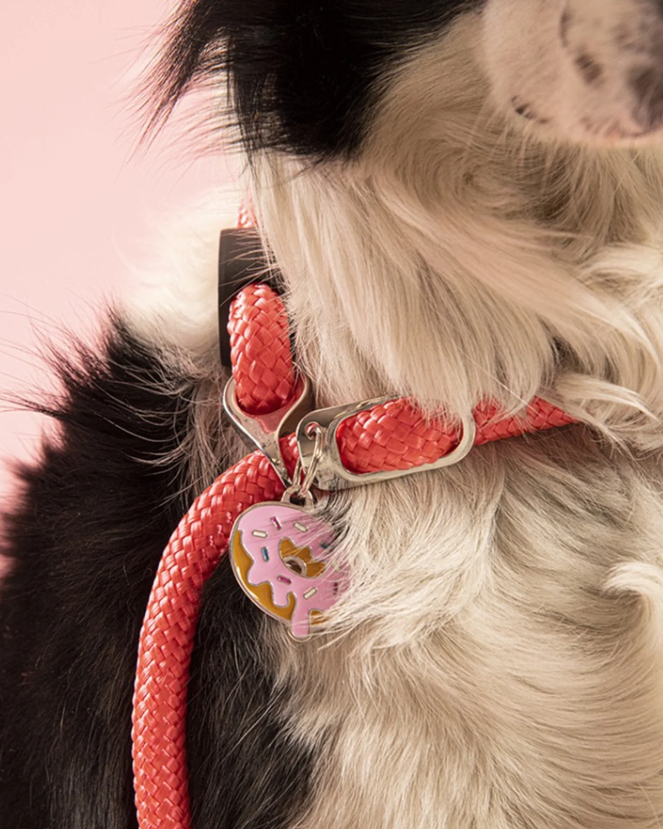 Dogs Love Donuts Custom Pet ID Tag - Image 4