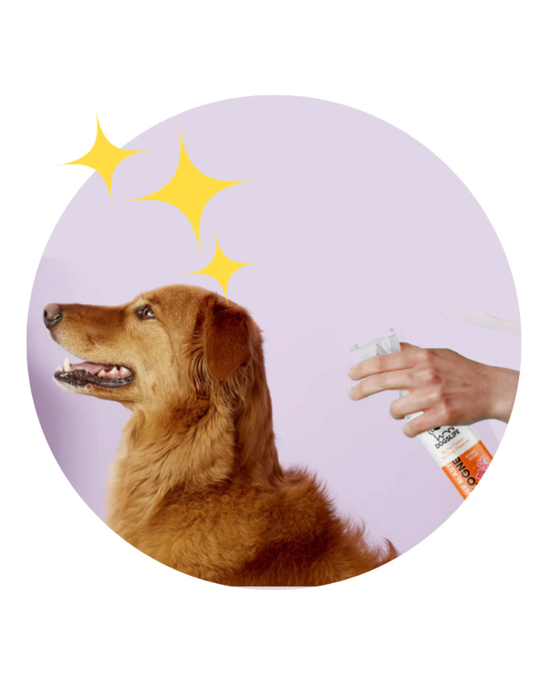 Dog Cologne in Baby Powder Scent - Image 2