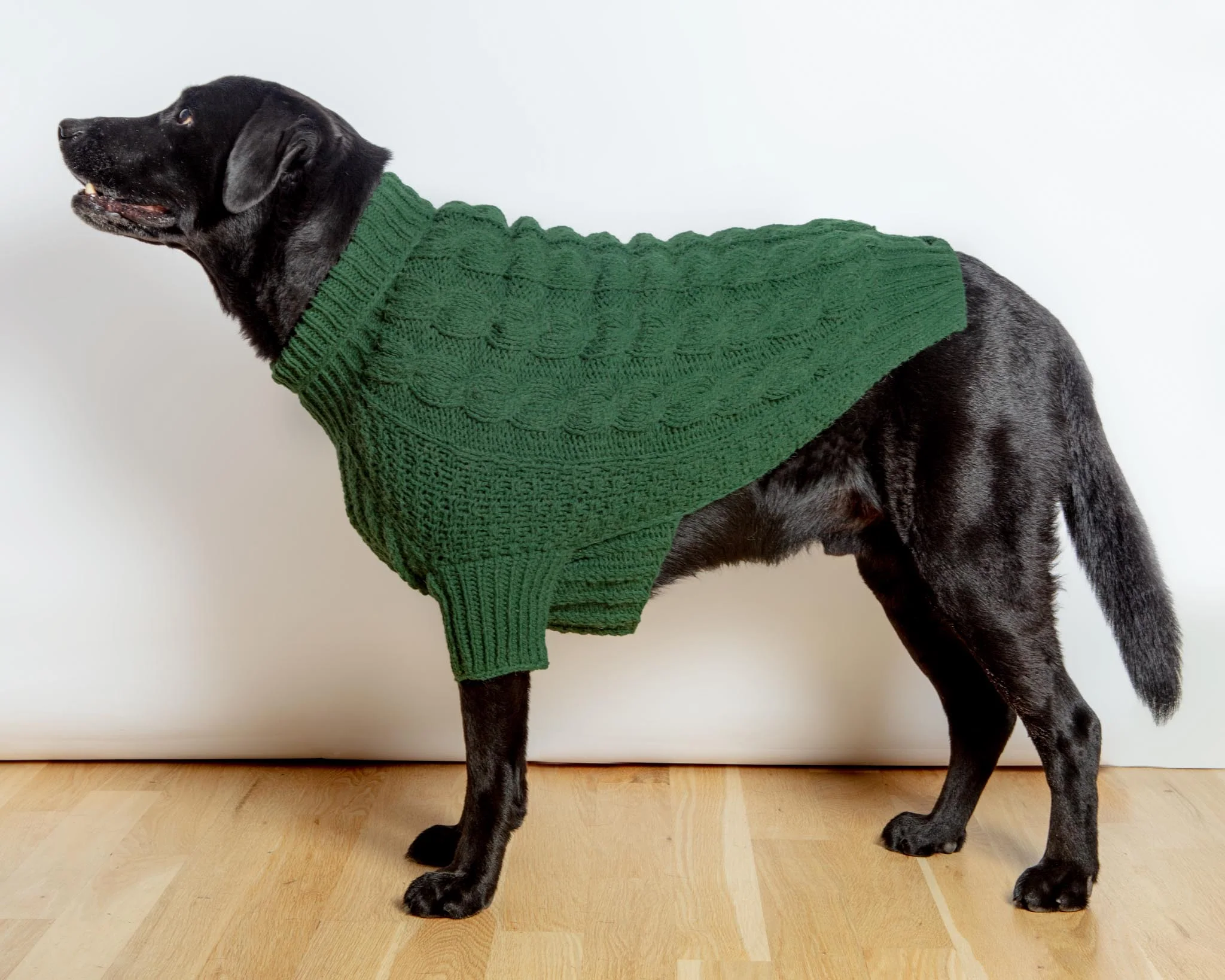 Downtown Roll Neck Dog Sweater in Evergreen (FINAL SALE) - Image 3