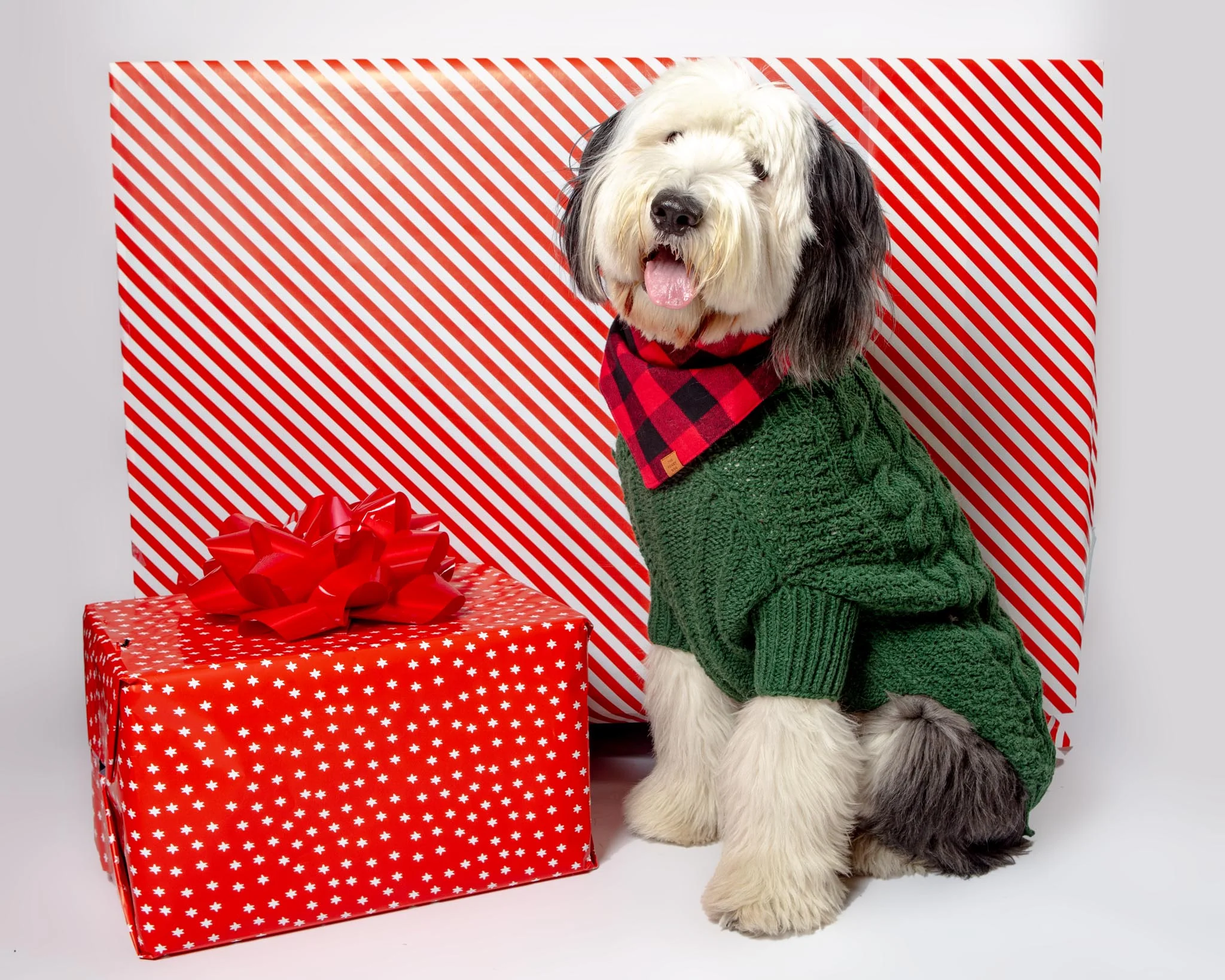 Downtown Roll Neck Dog Sweater in Evergreen (FINAL SALE) - Image 8