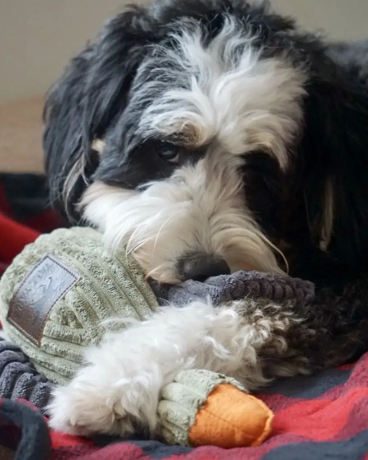 Duck Plush Squeaky Toy (12") - Image 5