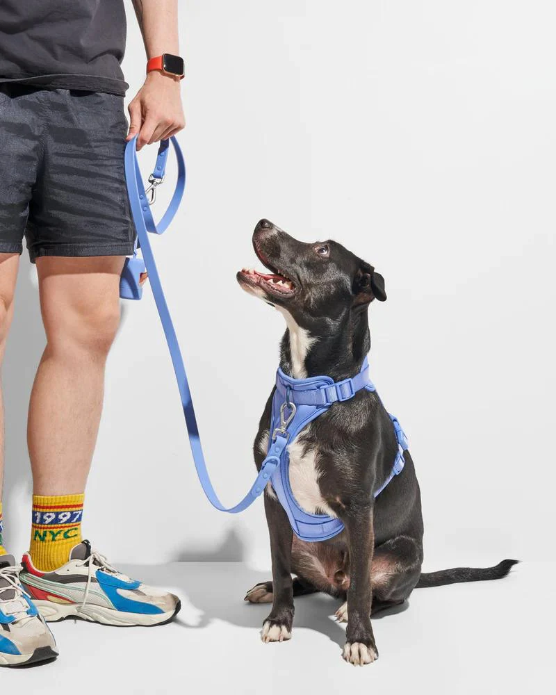 Durable Dog Leash in Moonstone (FINAL SALE) - Image 4
