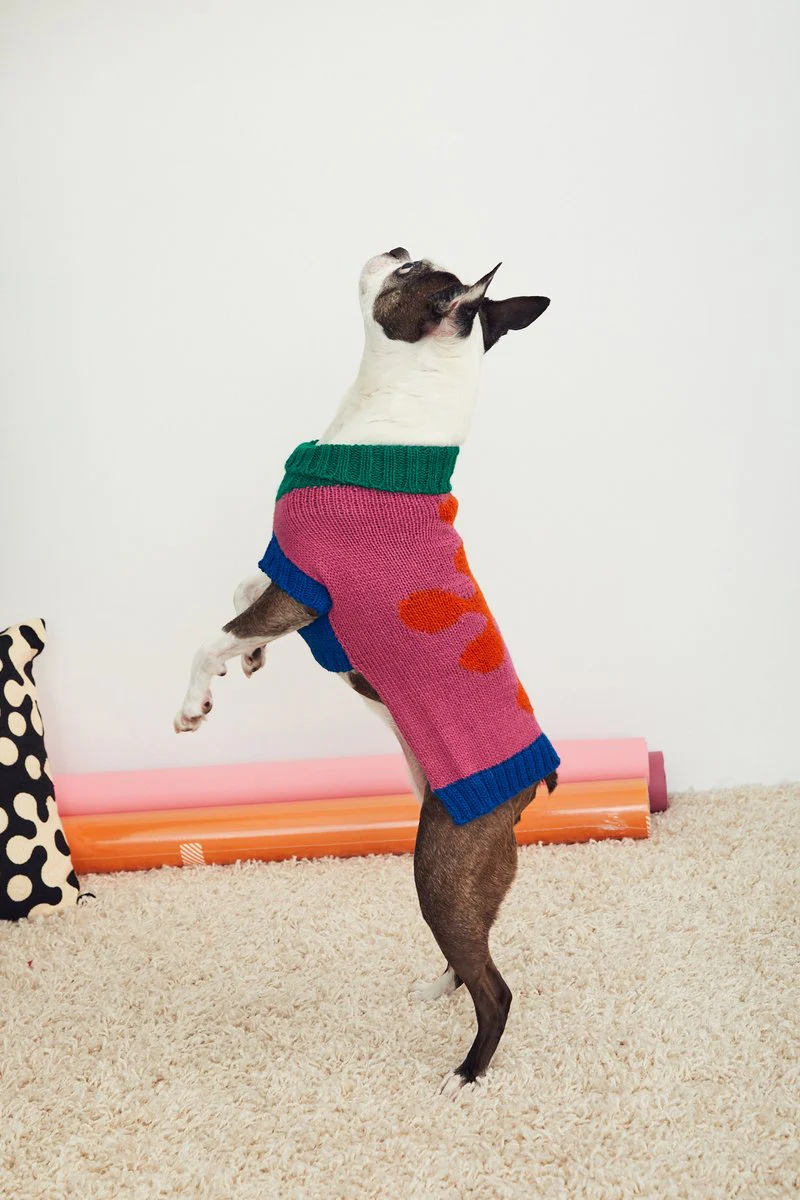 Flower Dog Sweater (FINAL SALE) - Image 4