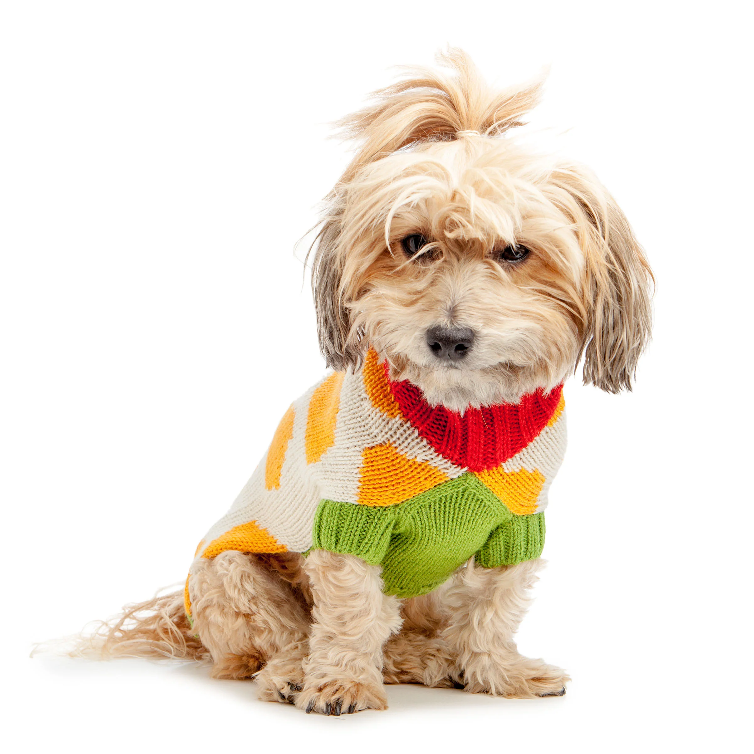 DUSEN DUSEN | Rocks Dog Sweater - Image 2