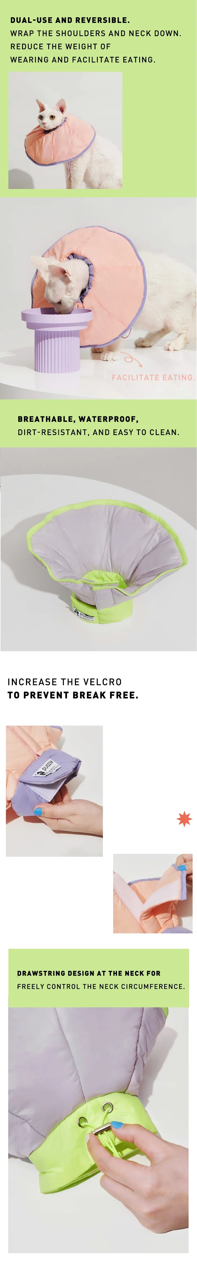 E-Collar in Violet - Image 7