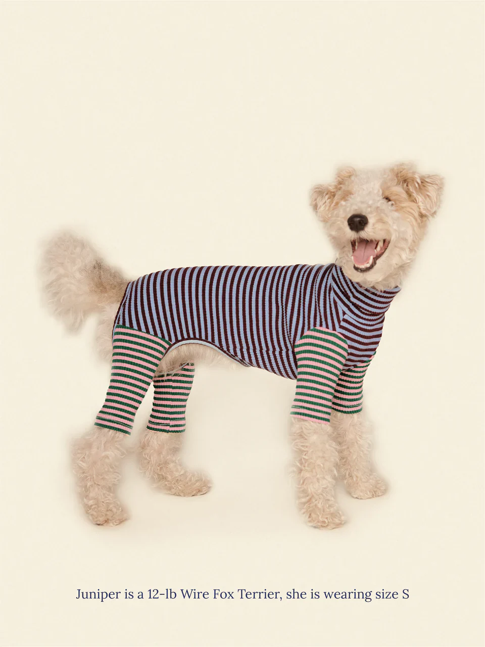 Earth and Sky Dog Onesie - Image 2