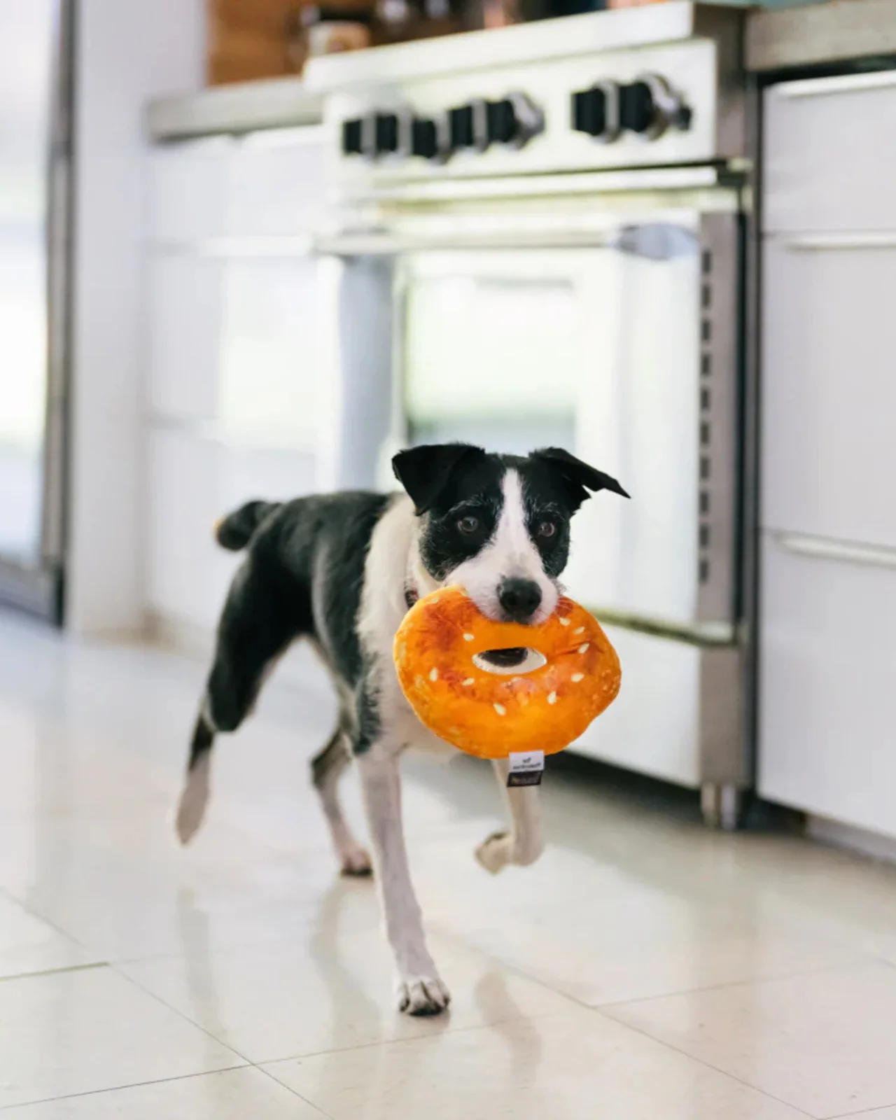 Bagel Squeak + Crinkle Dog Toy - Image 2