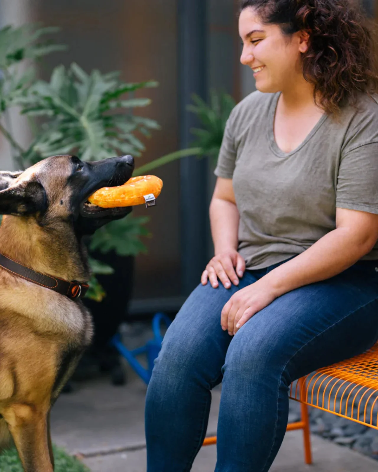Bagel Squeak + Crinkle Dog Toy - Image 5