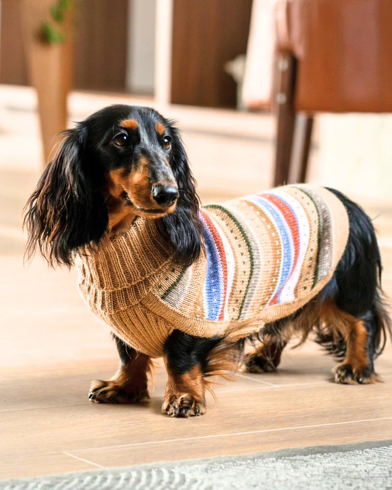 Earthy Stripes Alpaca Dog Sweater - Image 2