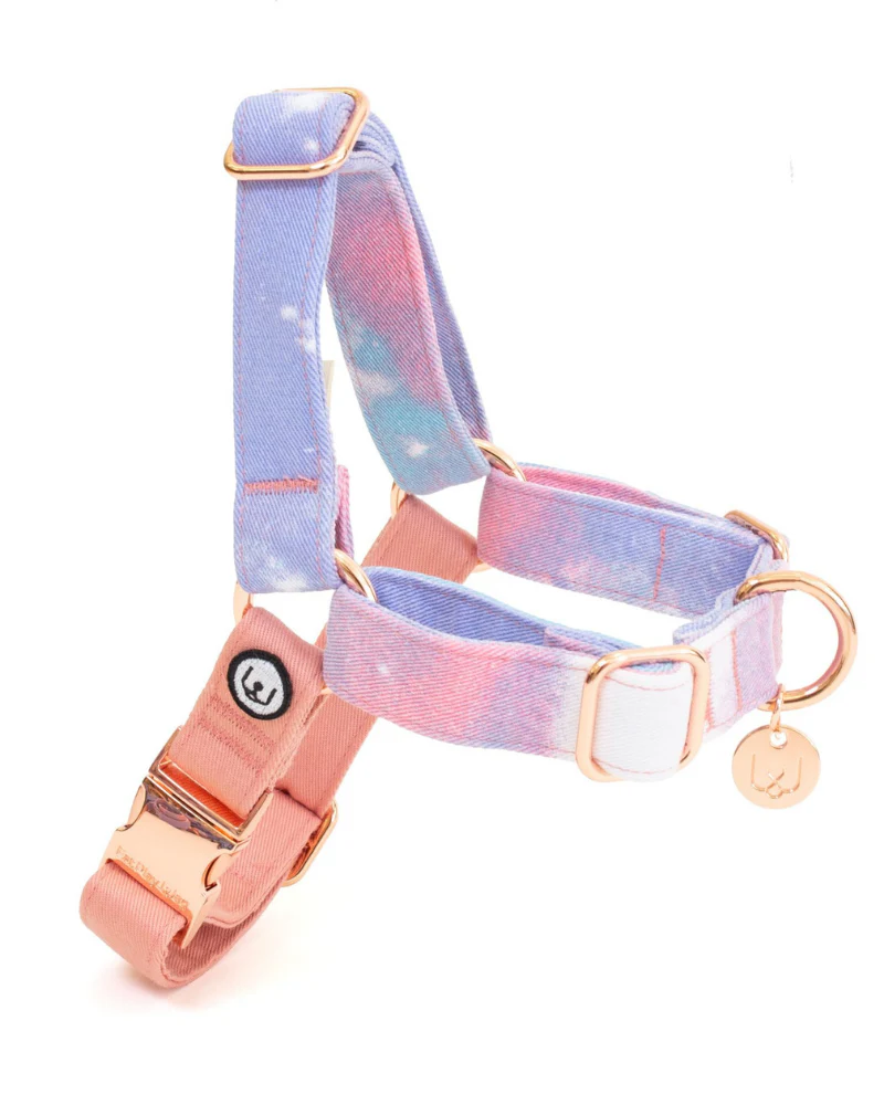 Standard Dog Leash in Cotton Candy - Image 2