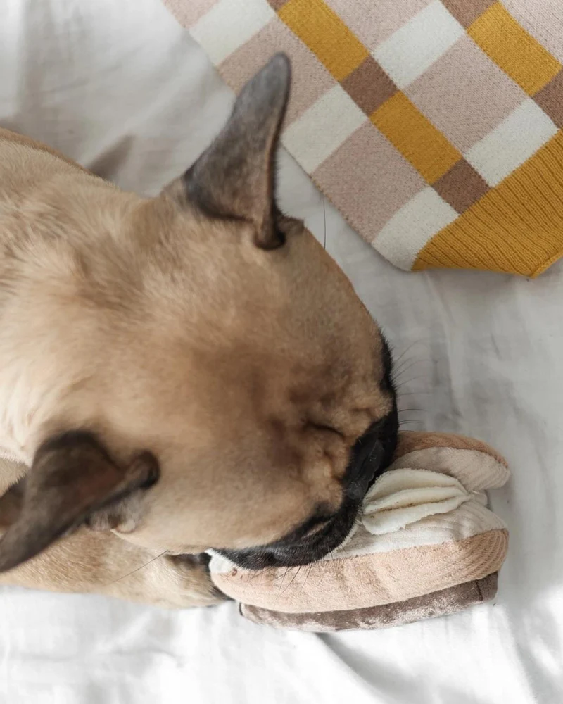 Eclair Enrichment Dog Toy - Image 7