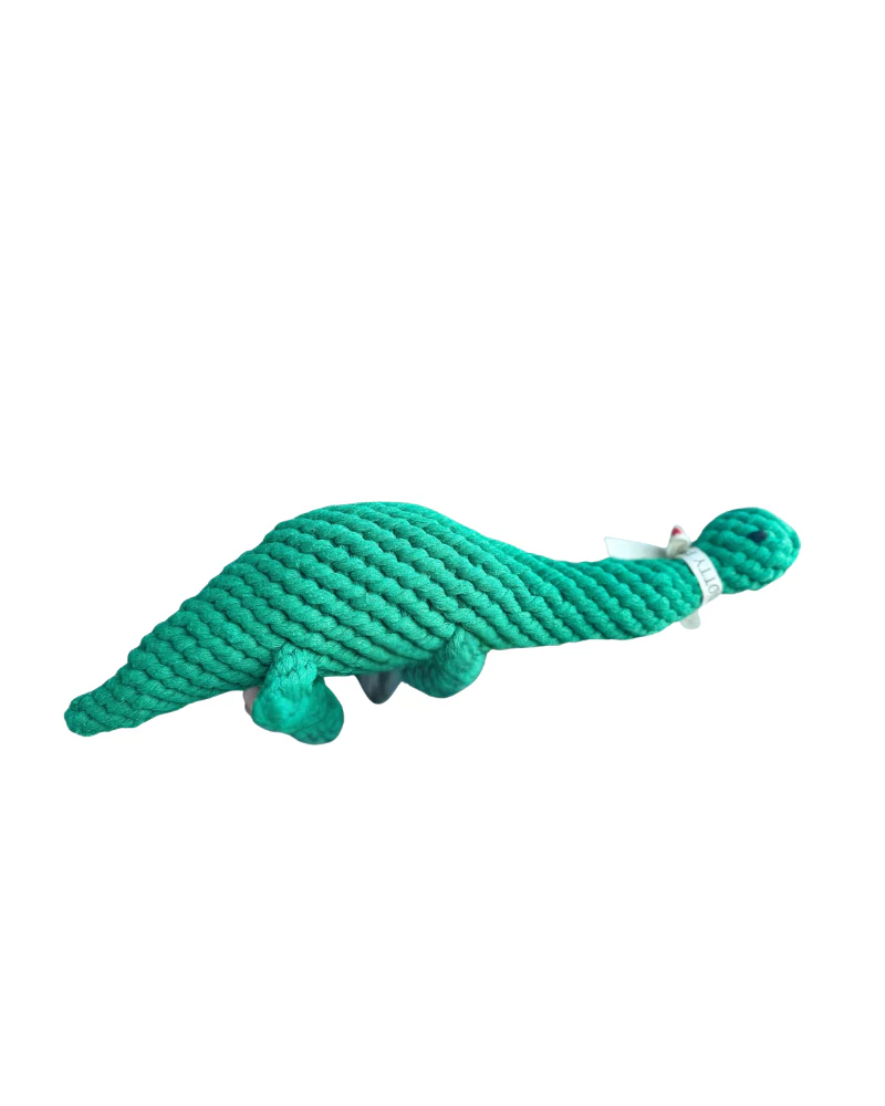 Eco-Friendly Dinosaur Rope Dog Toy - Image 2
