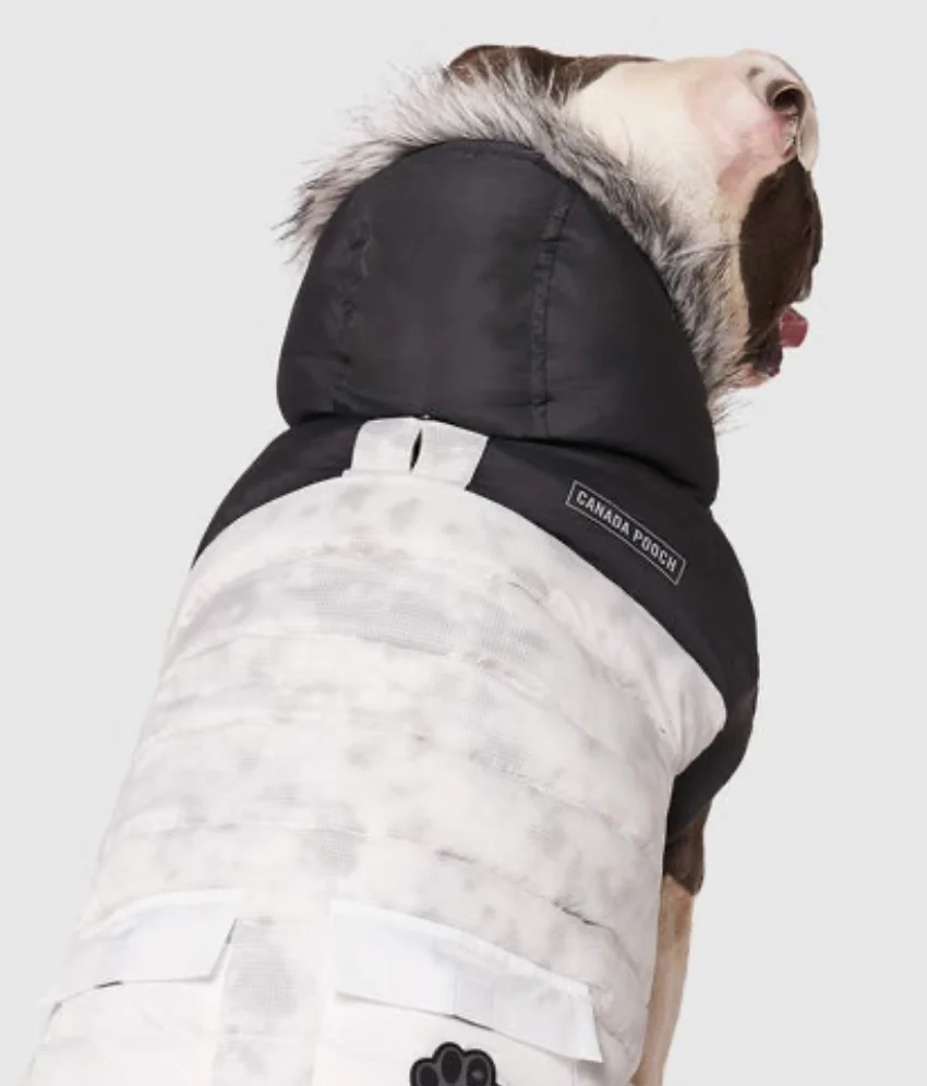 Eco True North Dog Parka in Marble << FINAL SALE >> - Image 2