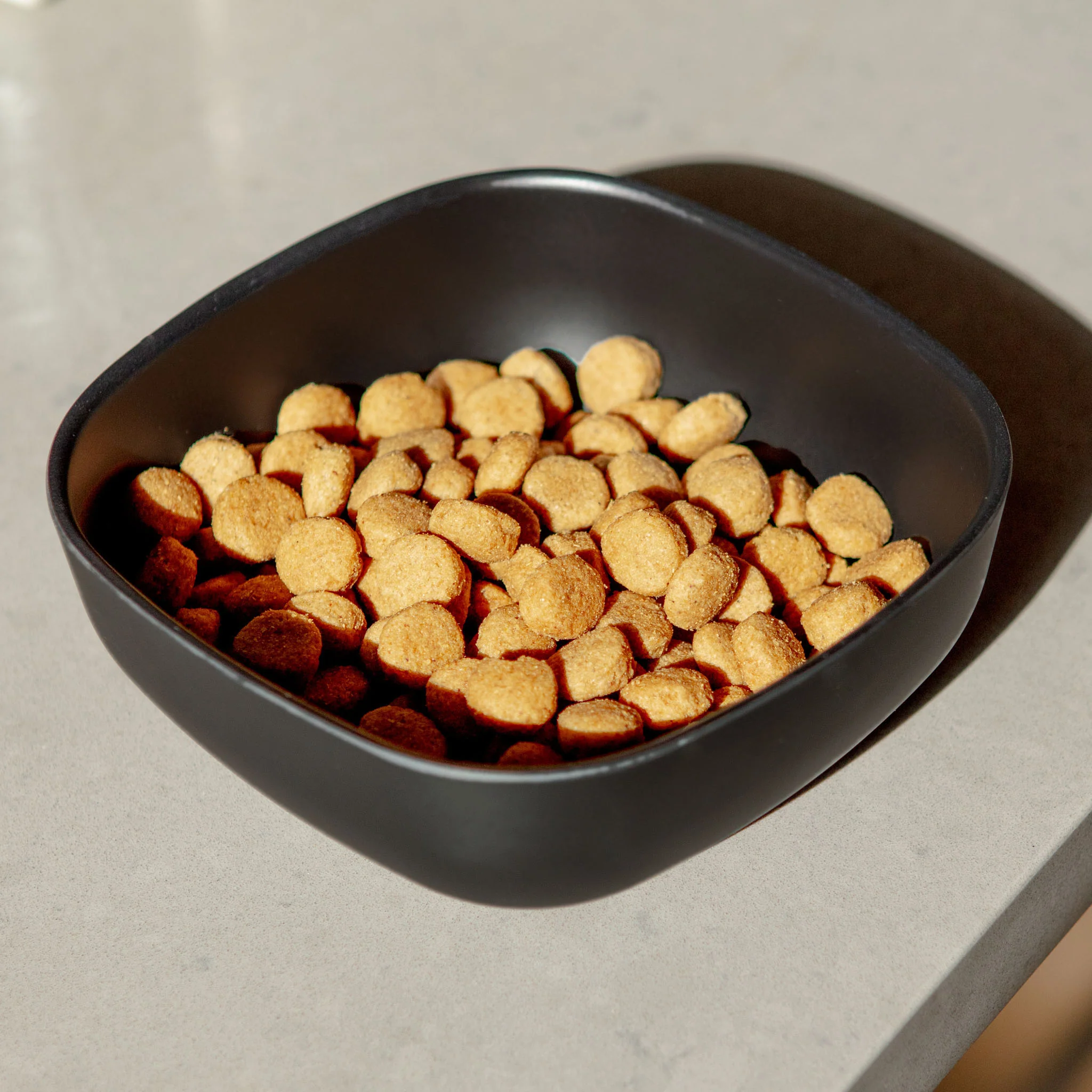 Biobu Gusto Dog Bowl in Black (FINAL SALE) - Image 2