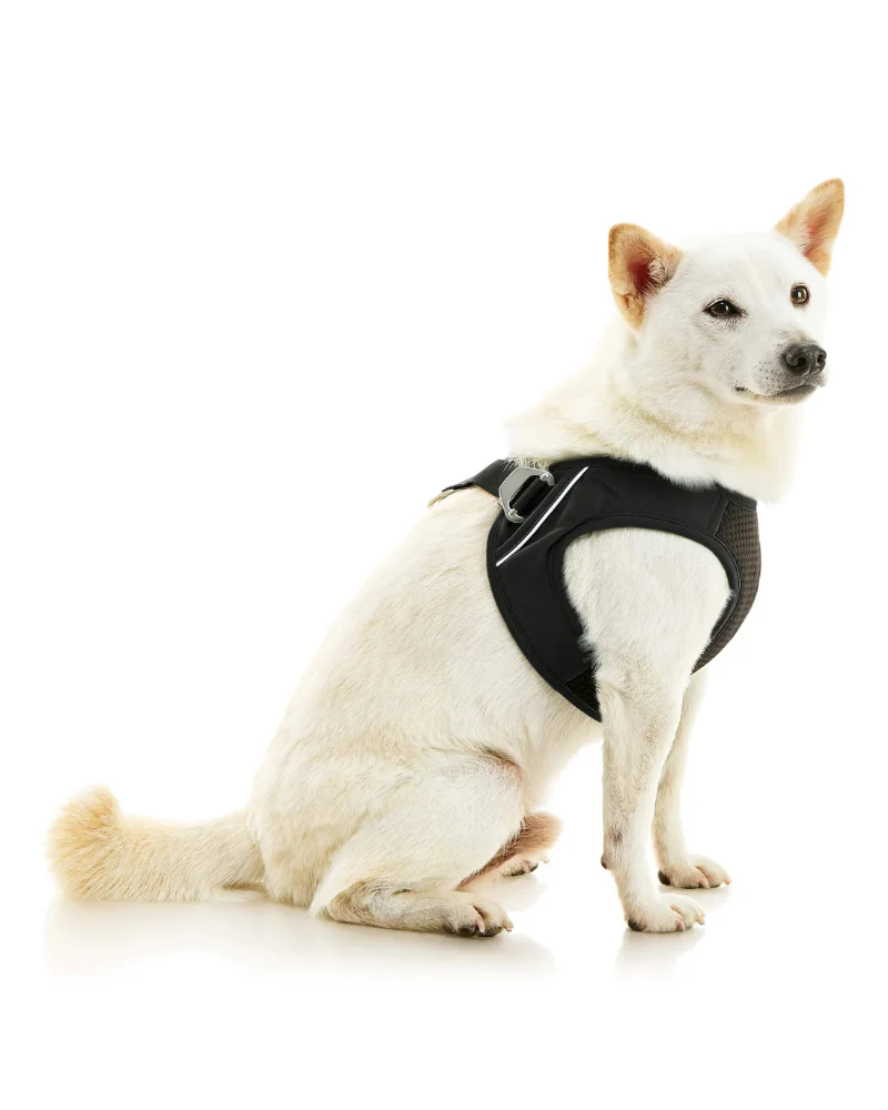 Escape-Free Easy Fit Plus Dog Harness (FINAL SALE)