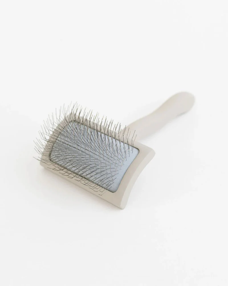 Everyday Slicker Brush for Dogs