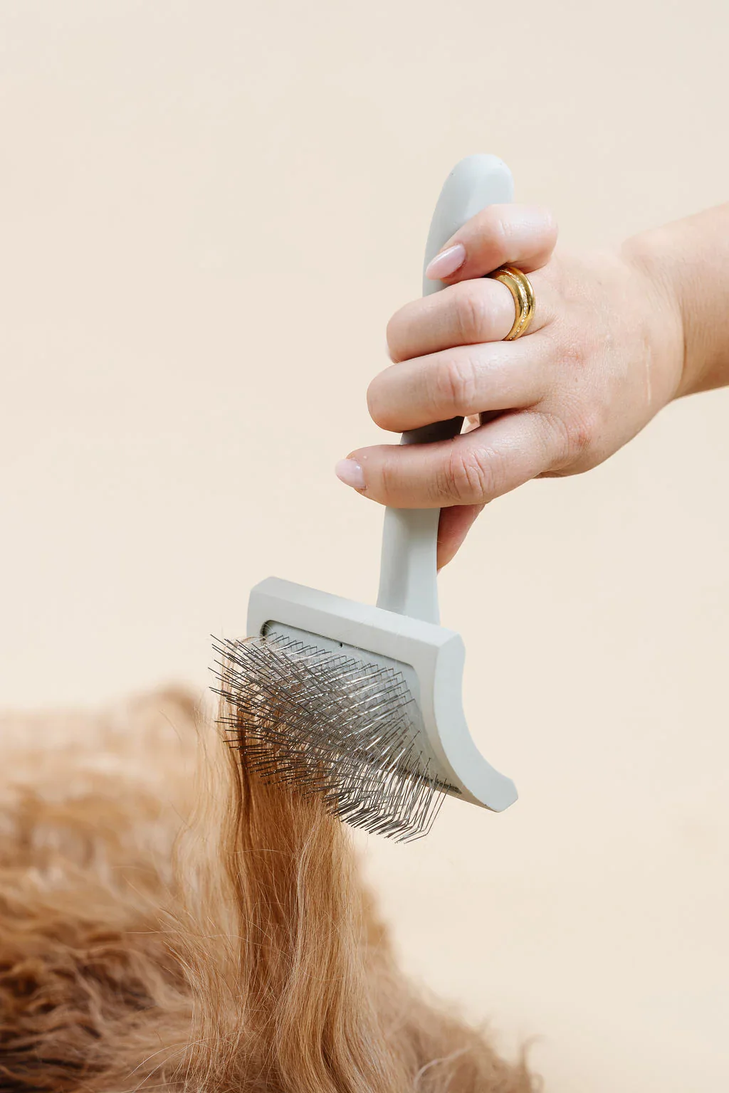 Everyday Slicker Brush for Dogs - Image 10