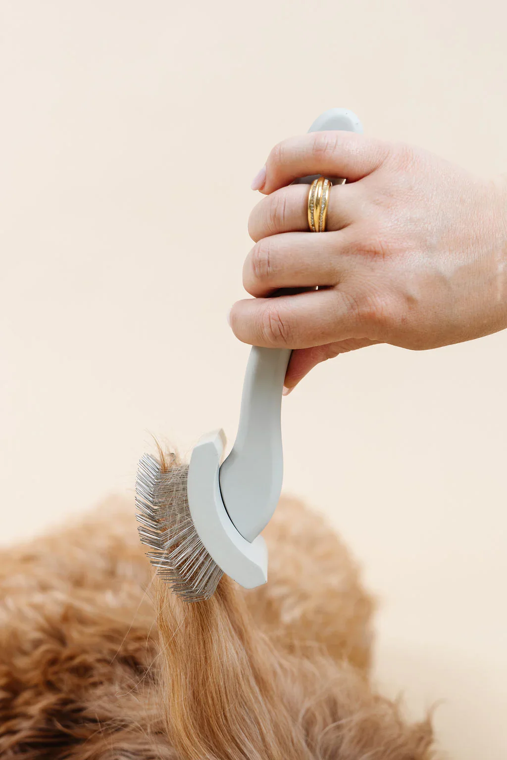 Everyday Slicker Brush for Dogs - Image 11