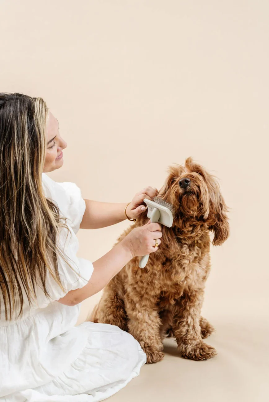 Everyday Slicker Brush for Dogs - Image 14
