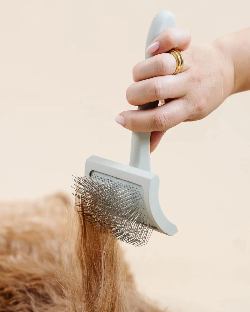 Everyday Slicker Brush for Dogs - Image 2