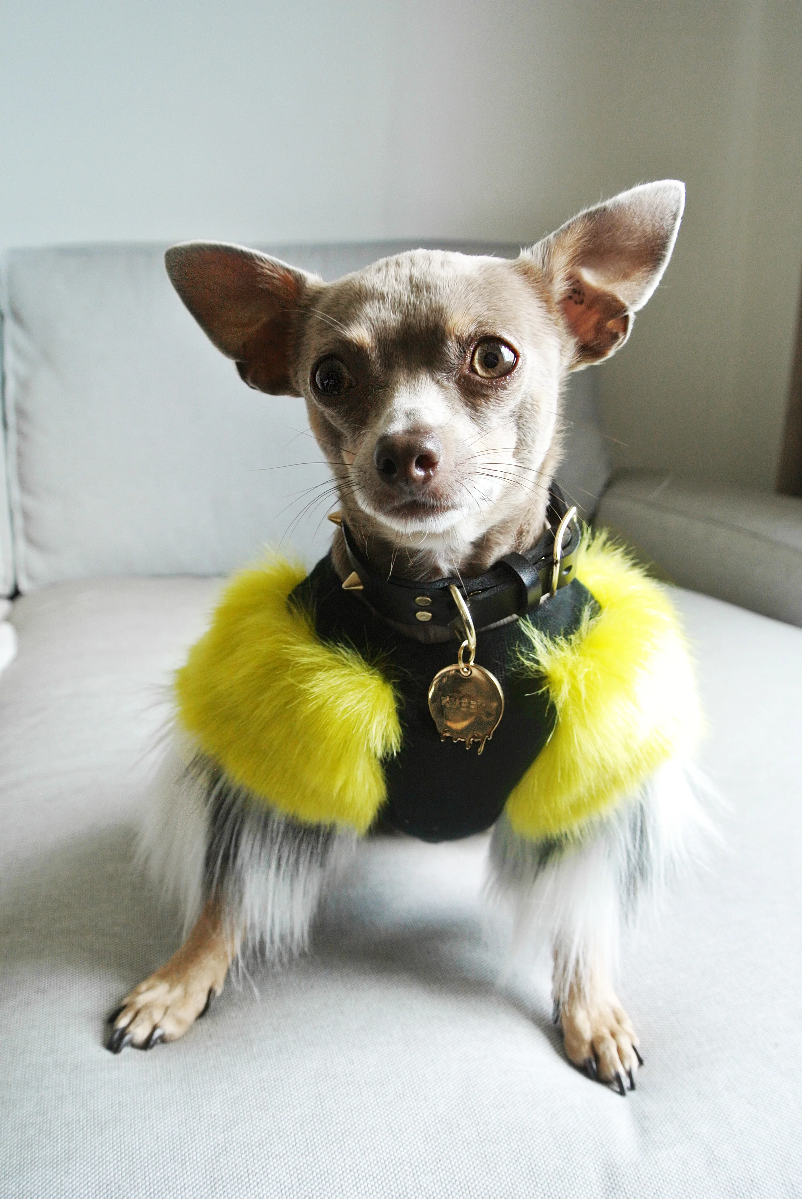EYE OF DOG | Acid Lime Faux Fur Top - Image 2