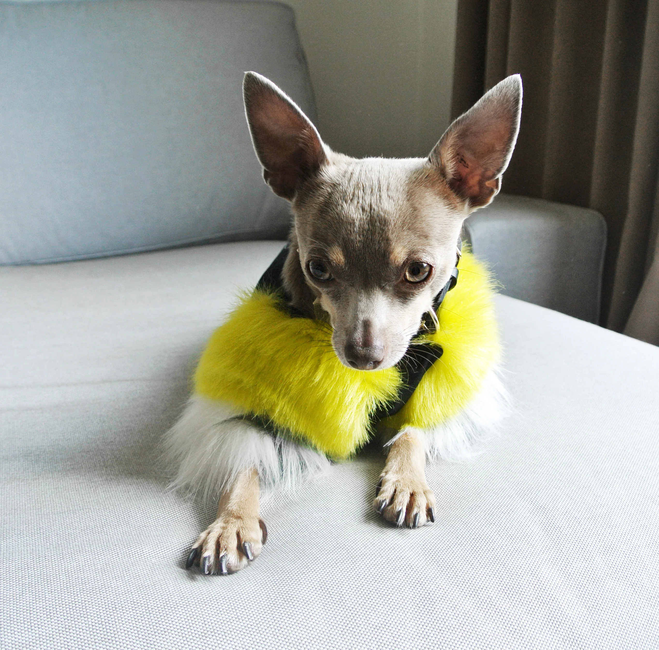 EYE OF DOG | Acid Lime Faux Fur Top - Image 4