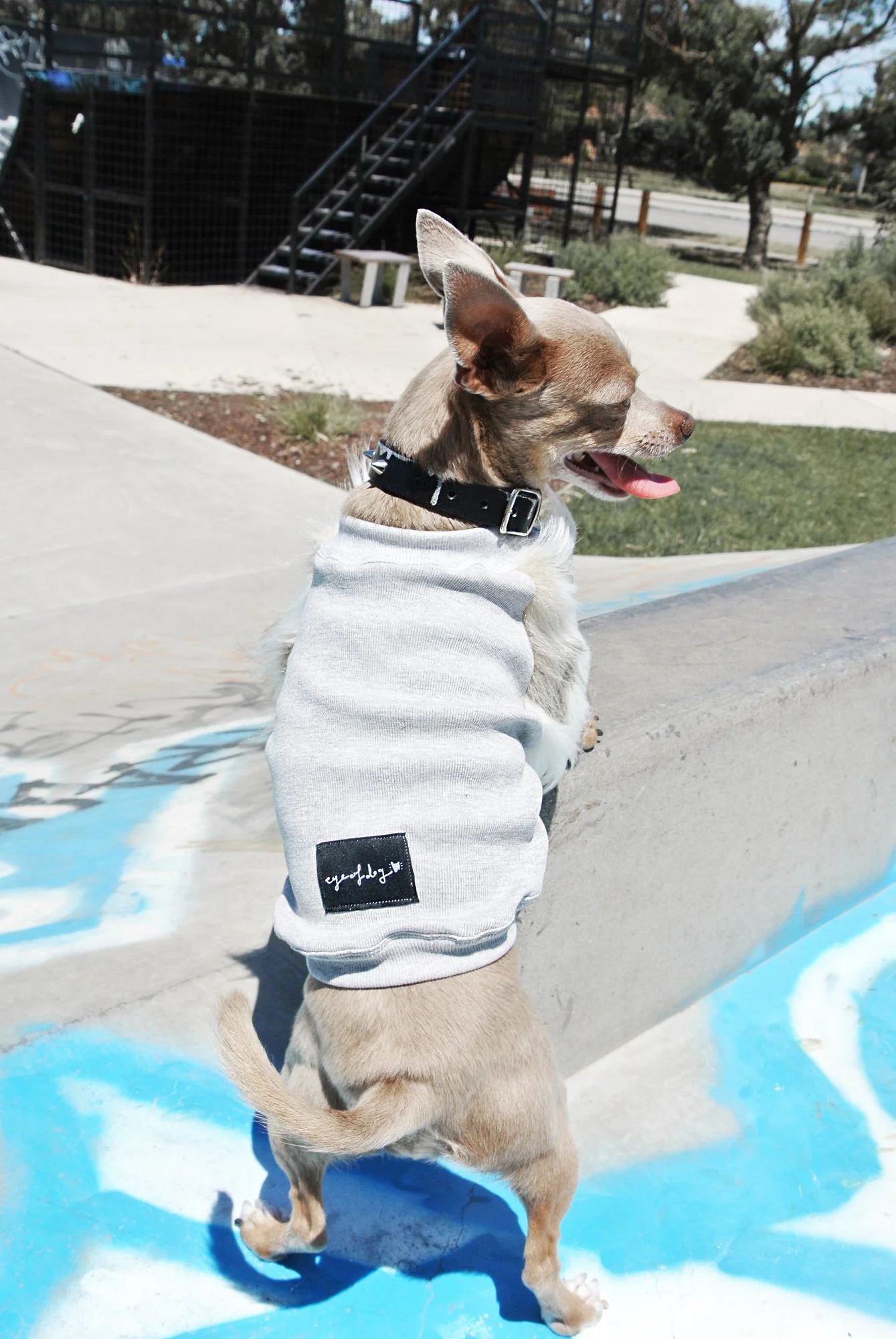 EYE OF DOG | Faux Fur Sweatshirt - Image 4