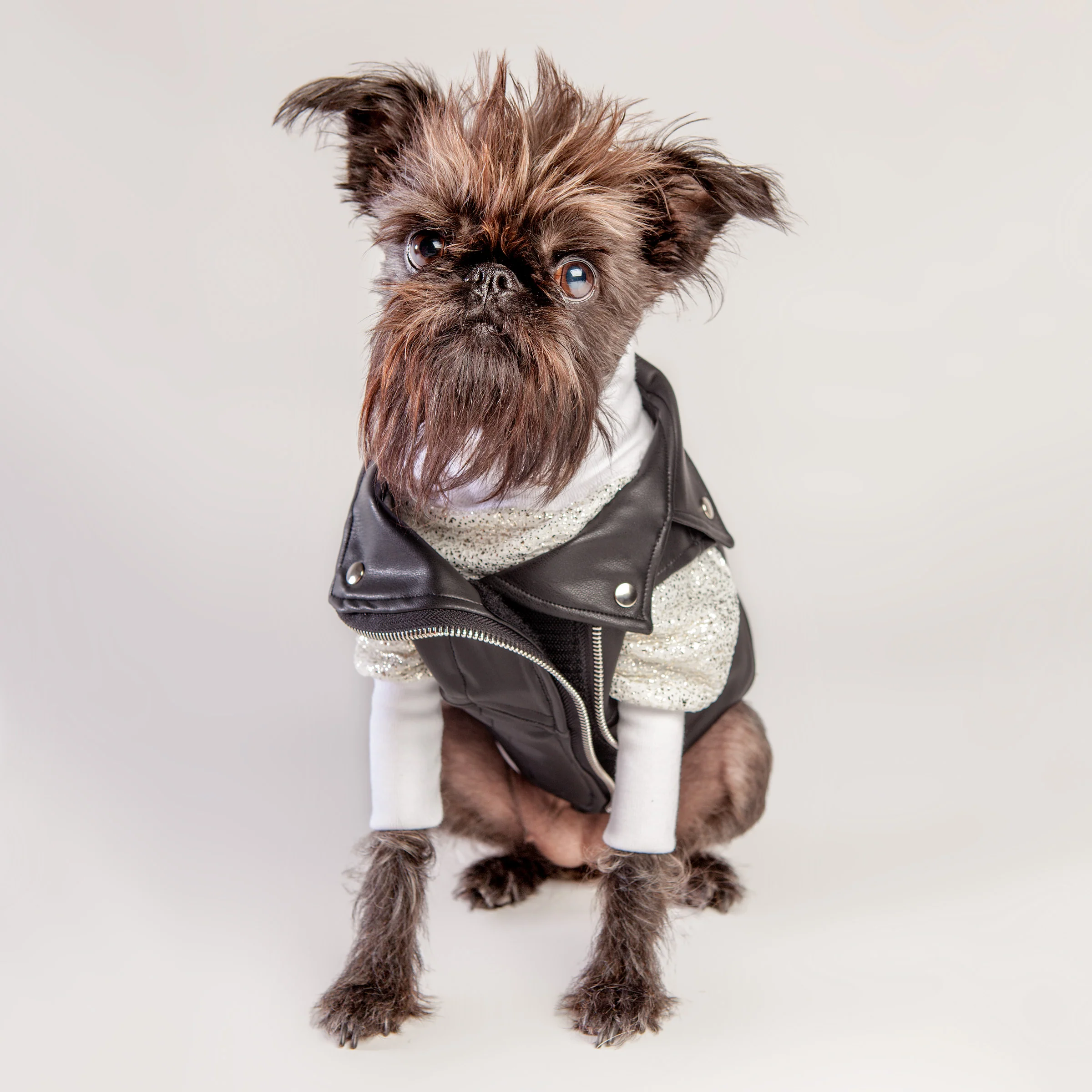 Vegan Leather Moto Vest for Dogs - Image 4