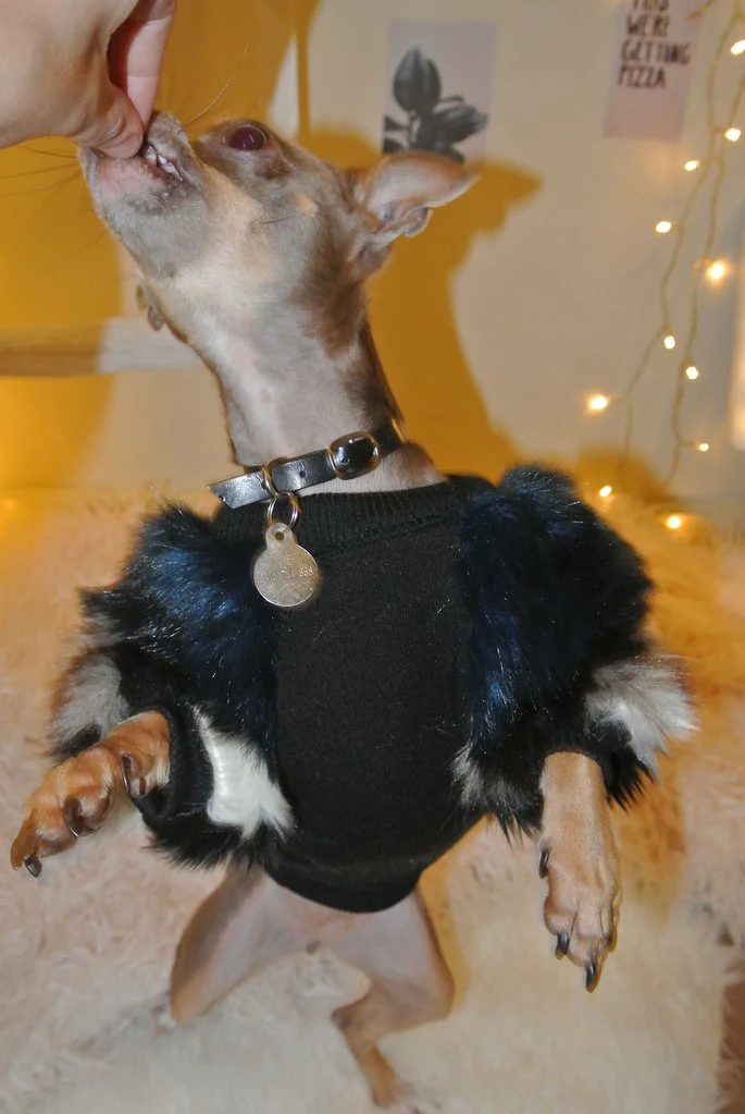 EYE OF DOG | Fluffy Pullover - Image 3