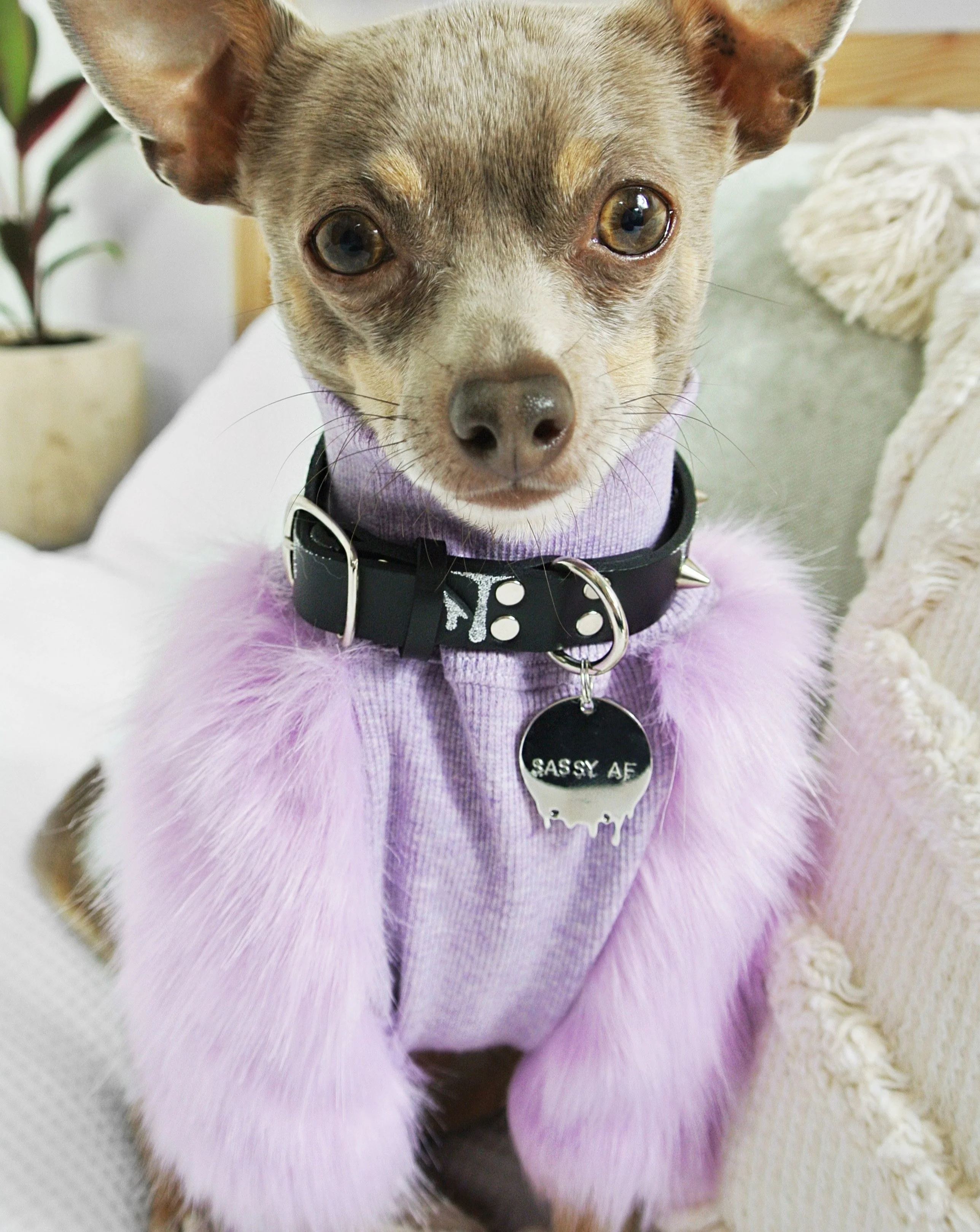 Lilac Faux Fur Dog Top (FINAL SALE) - Image 5