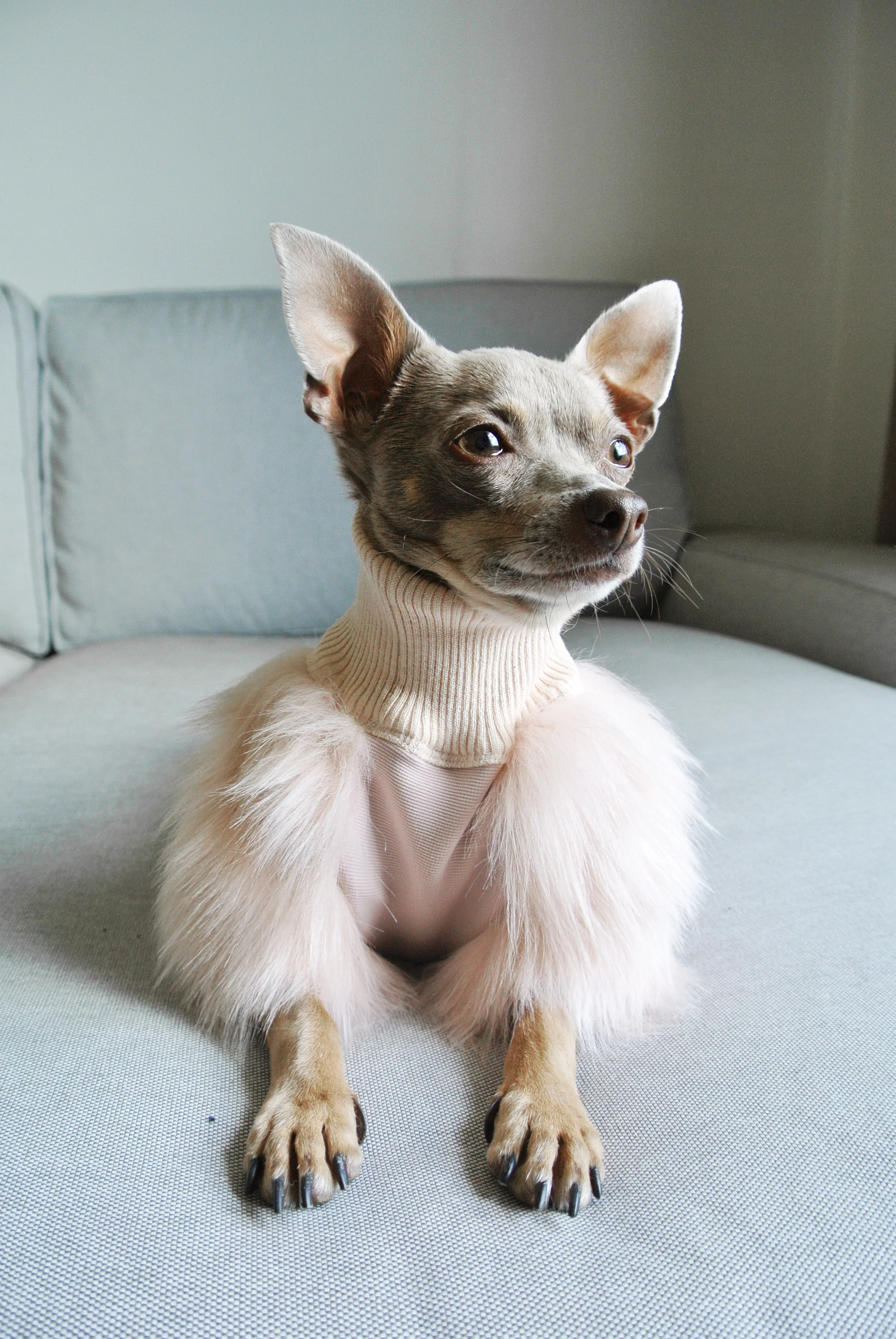 EYE OF DOG | Milk Faux Fur Top - Image 4