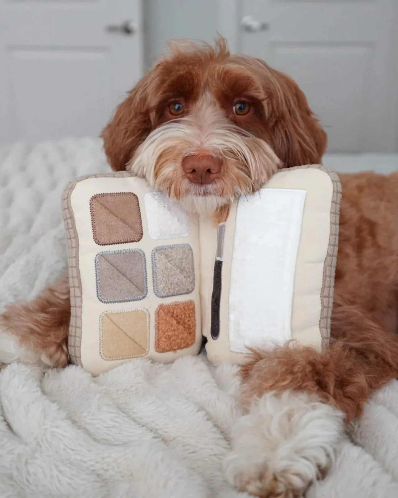 Eyeshadow Palette Dog Enrichment Snuffle Toy