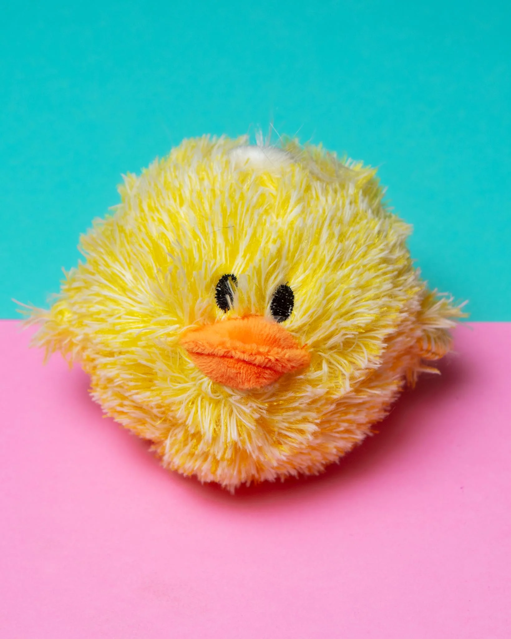 Ez Squeaky Chick Ball Dog Toy (FINAL SALE)