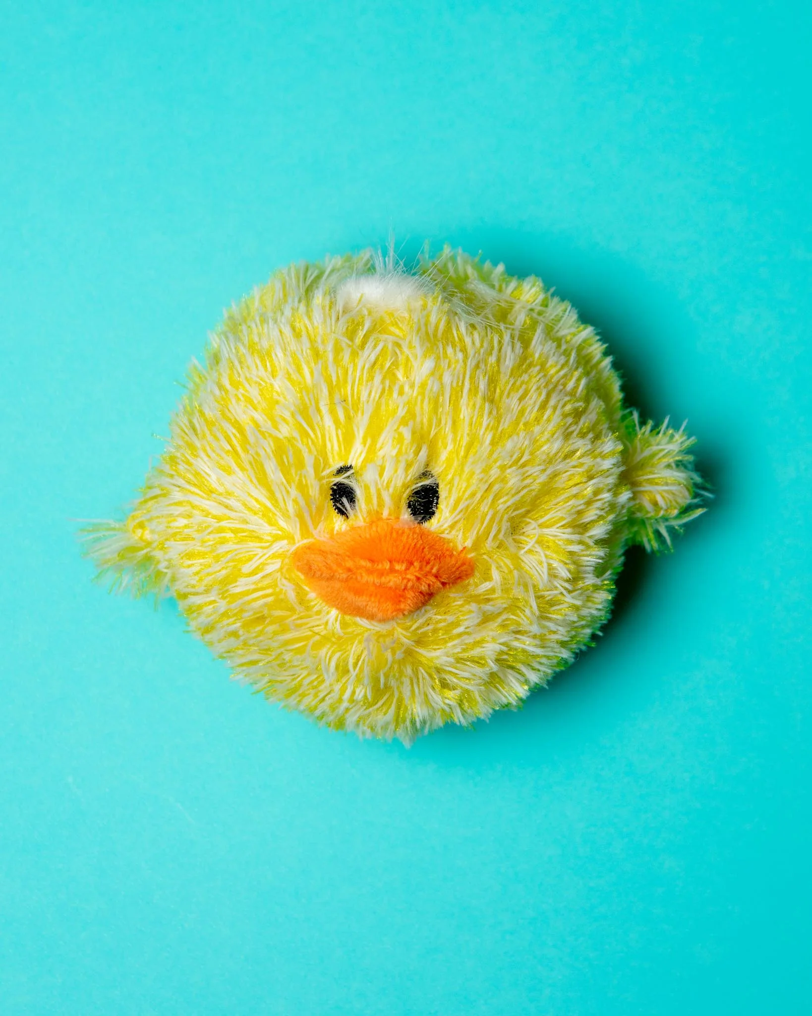 Ez Squeaky Chick Ball Dog Toy (FINAL SALE) - Image 4