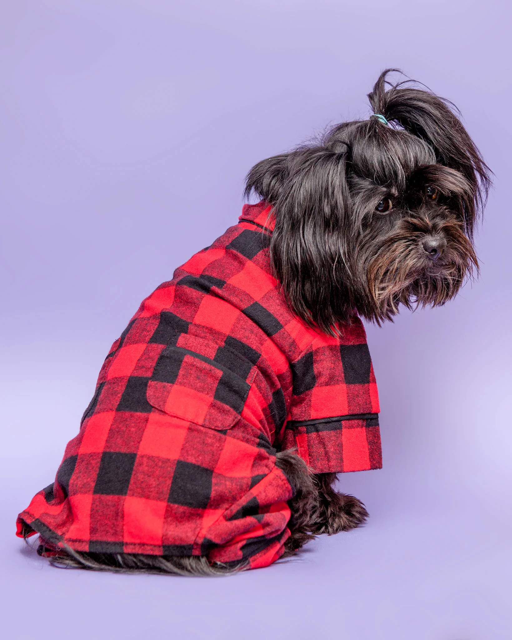 Buffalo Check Flannel Dog PJ's (FINAL SALE) - Image 3