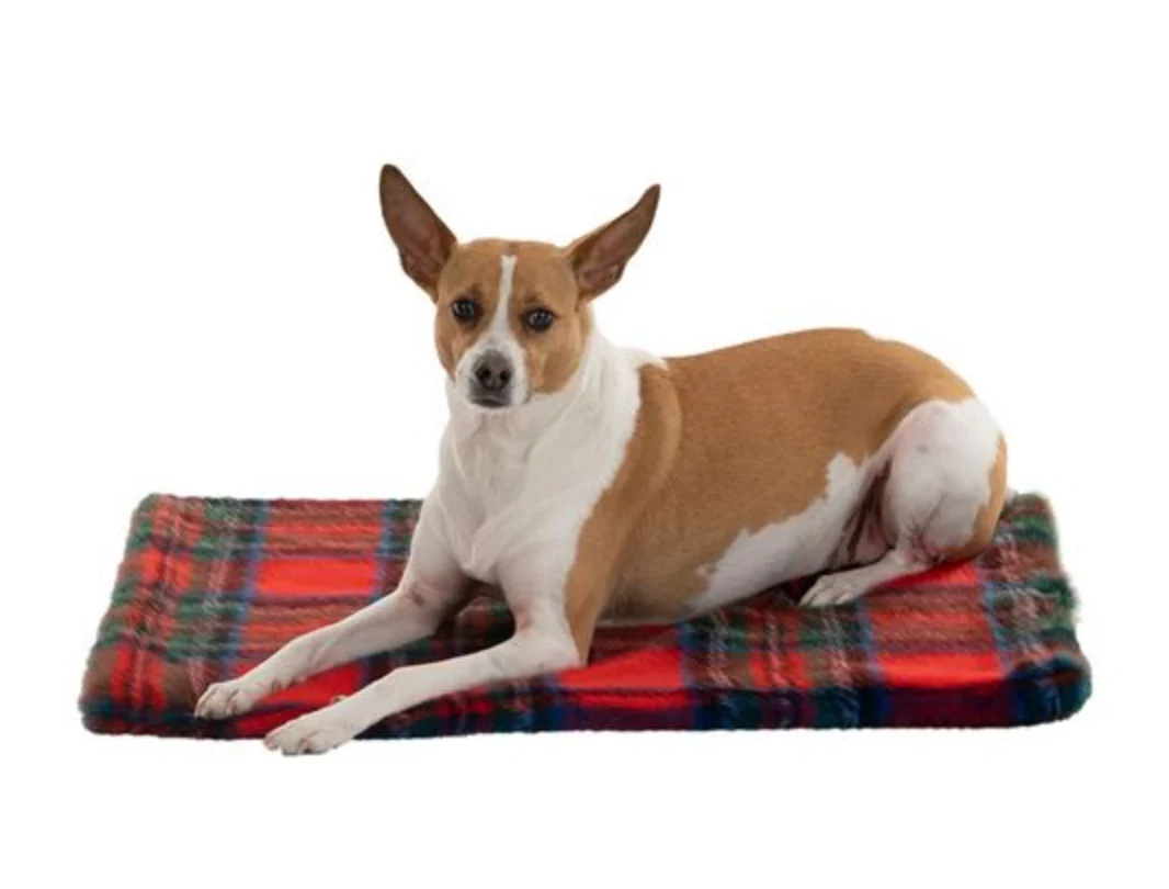 FABULOUS FURS | Pampered Pet Throw in Red Plaid - Image 2