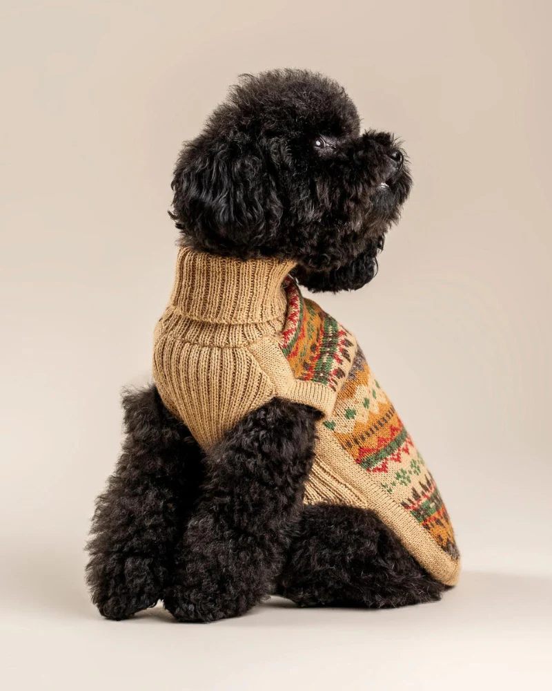 Fair Isle Finn Alpaca Dog Sweater (FINAL SALE) - Image 3