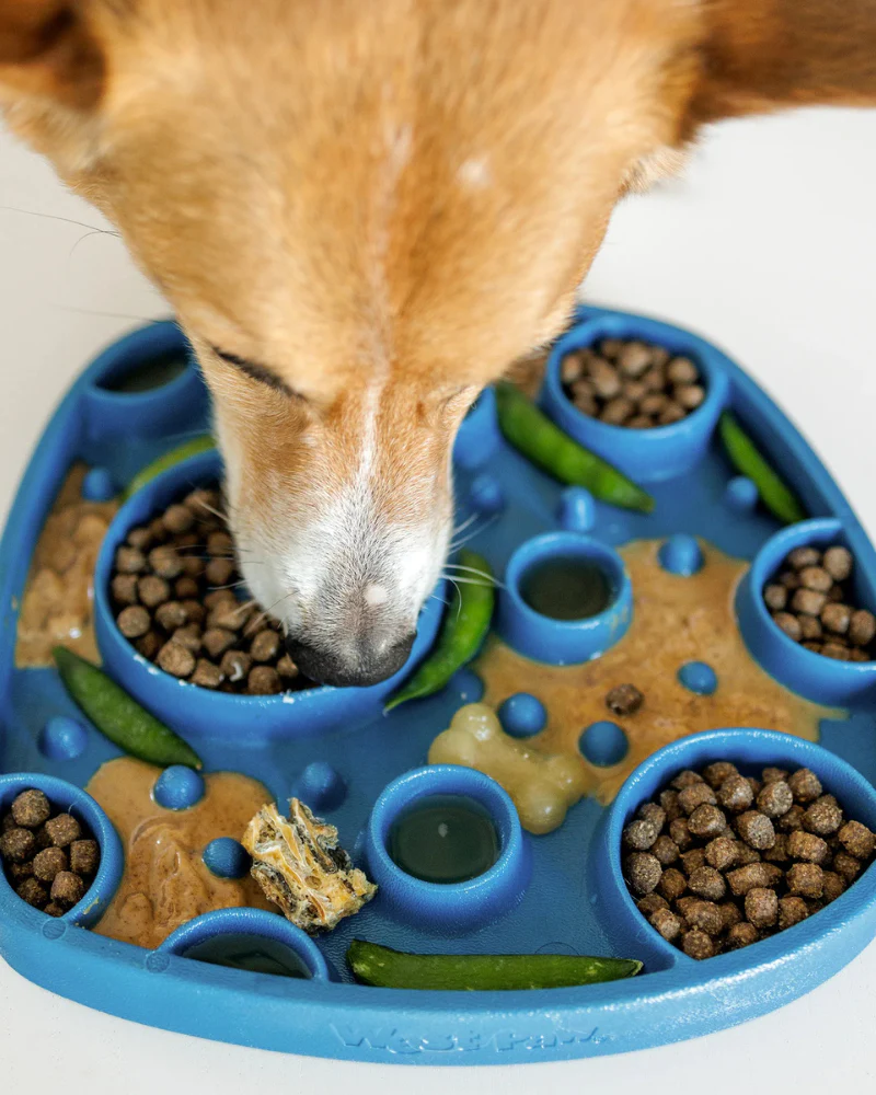 Feast Two-Sided Slow Feeder & Dog Lick Mat (Made in the USA) (FINAL SALE) - Image 5
