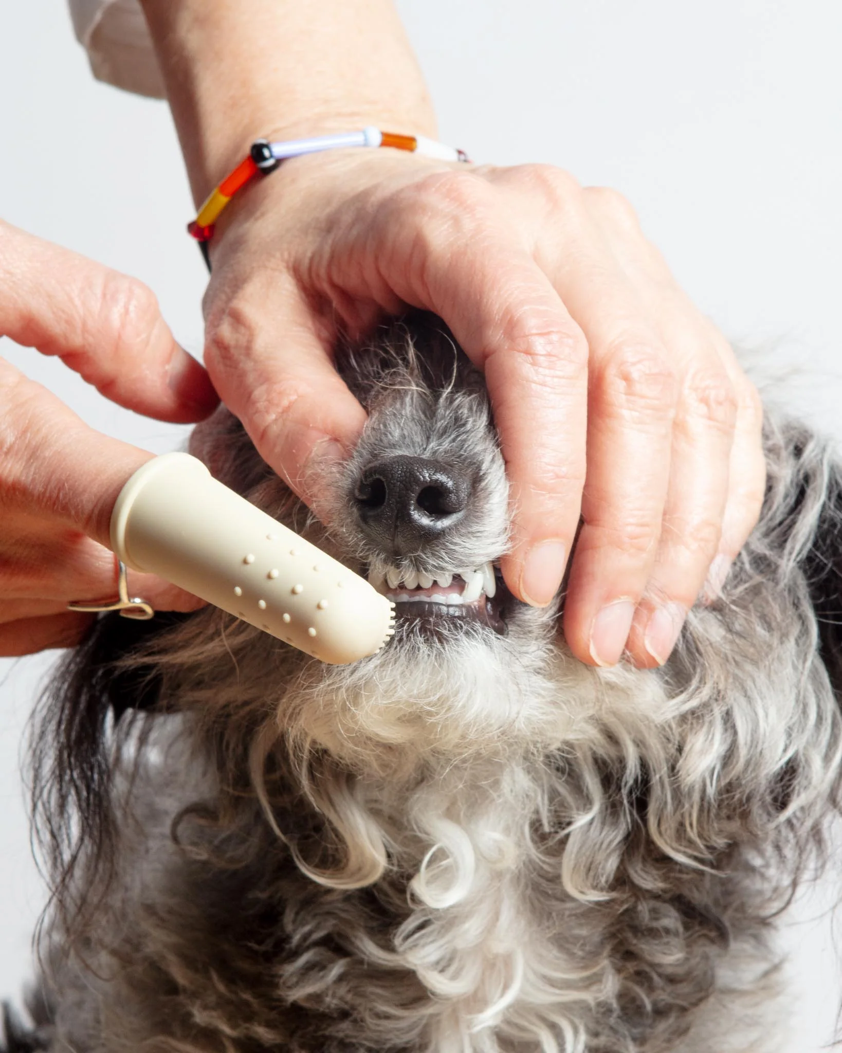 Puppy Polisher Finger Dog Toothbrush - Image 2