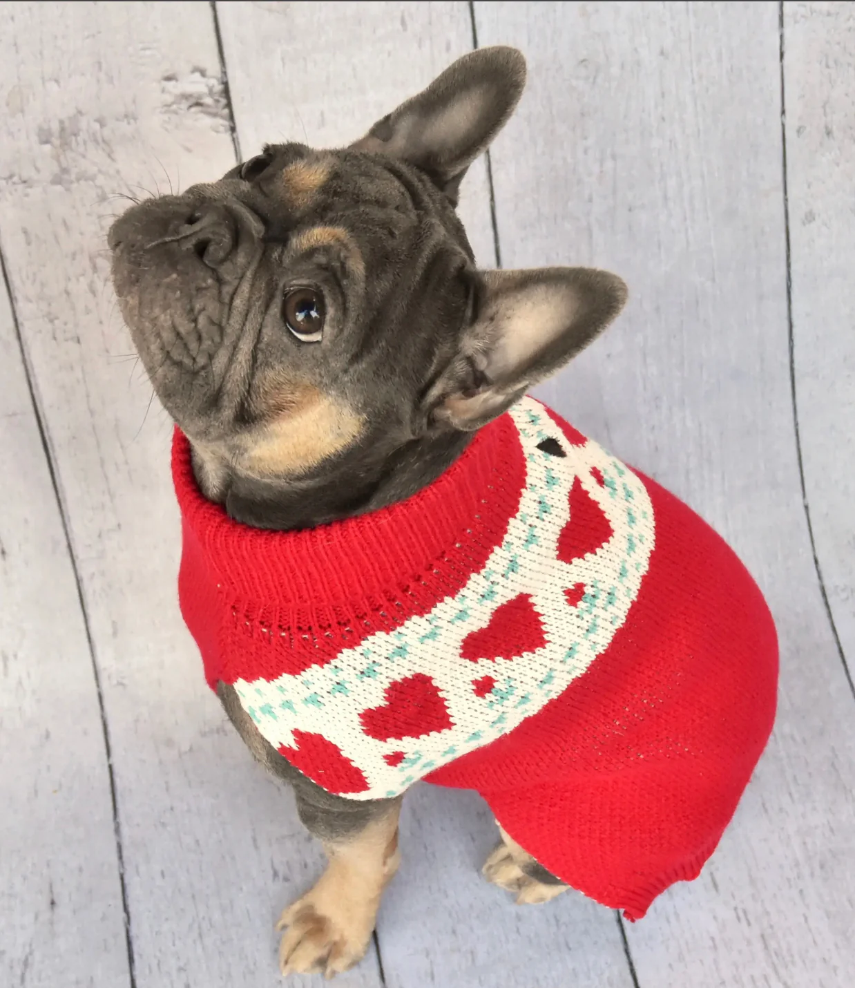 Whole Lotta Love Heart Dog Sweater<br>((FINAL SALE)) - Image 3