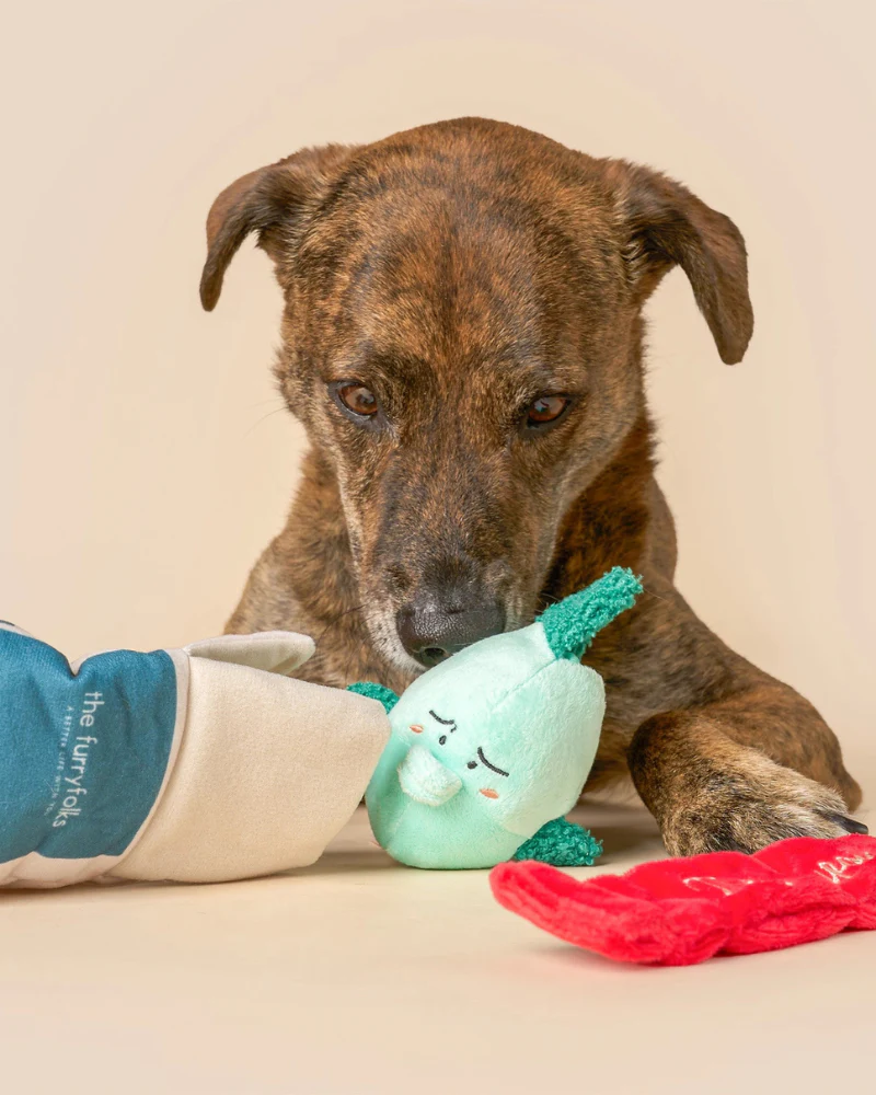 Fish Express Nosework Dog Toy - Image 5